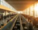 la ligne de livraison des bagages